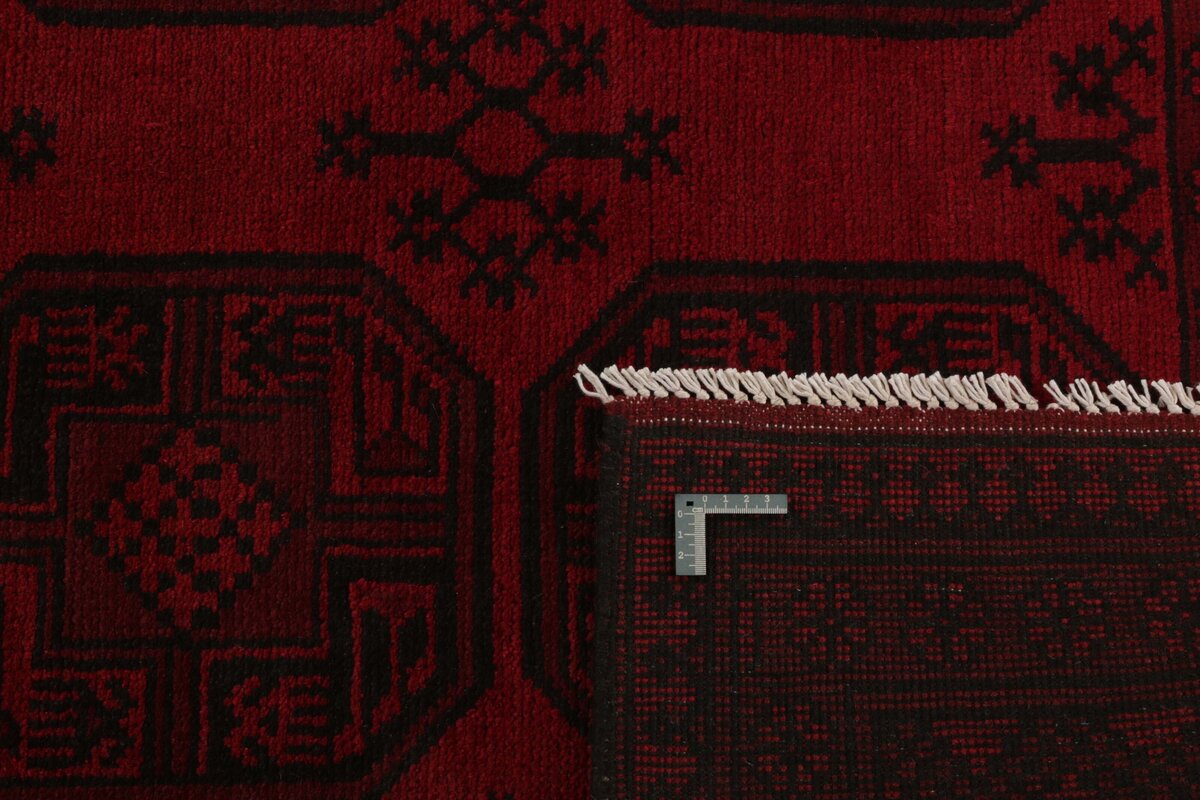 Aktscha 151x194