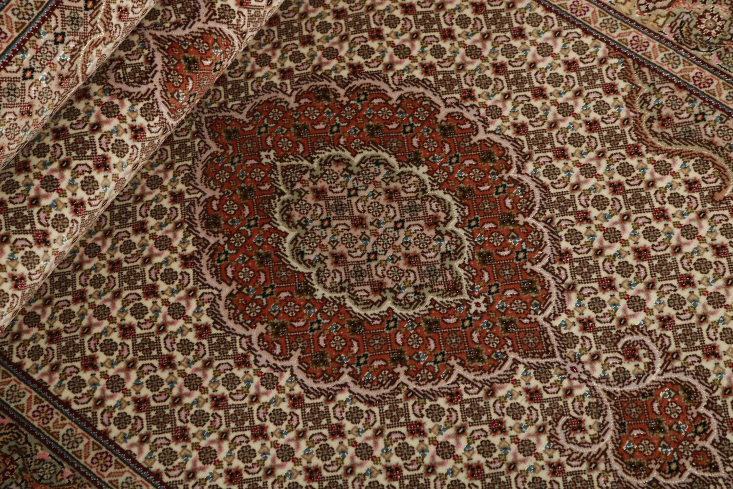 1319819-2.jpg