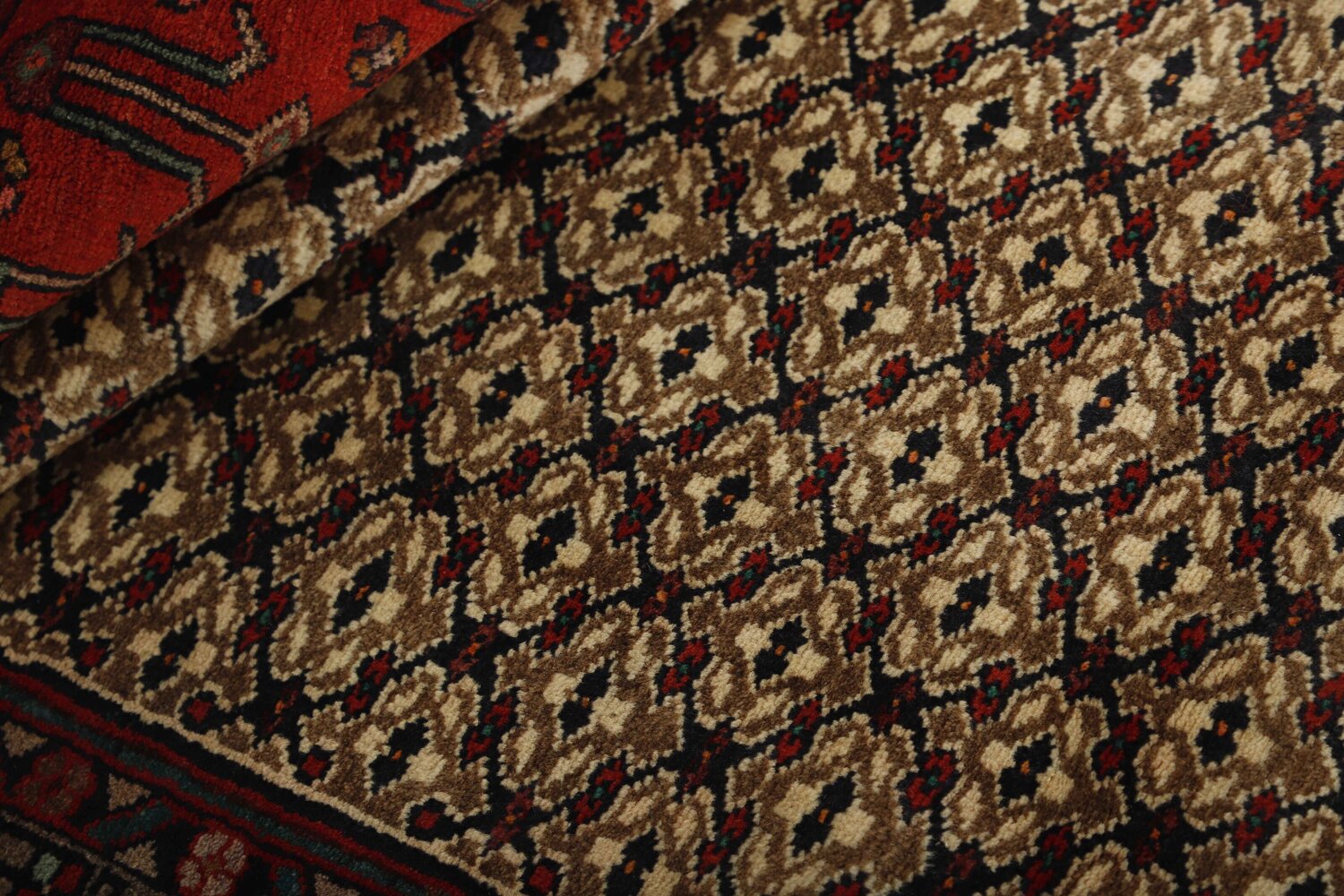 1487631-2.jpg