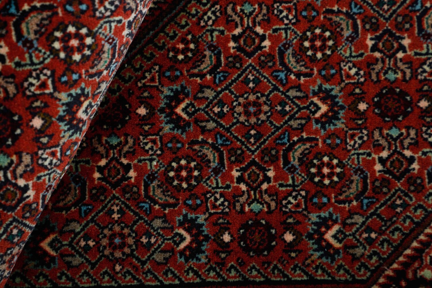 1498610-2.jpg