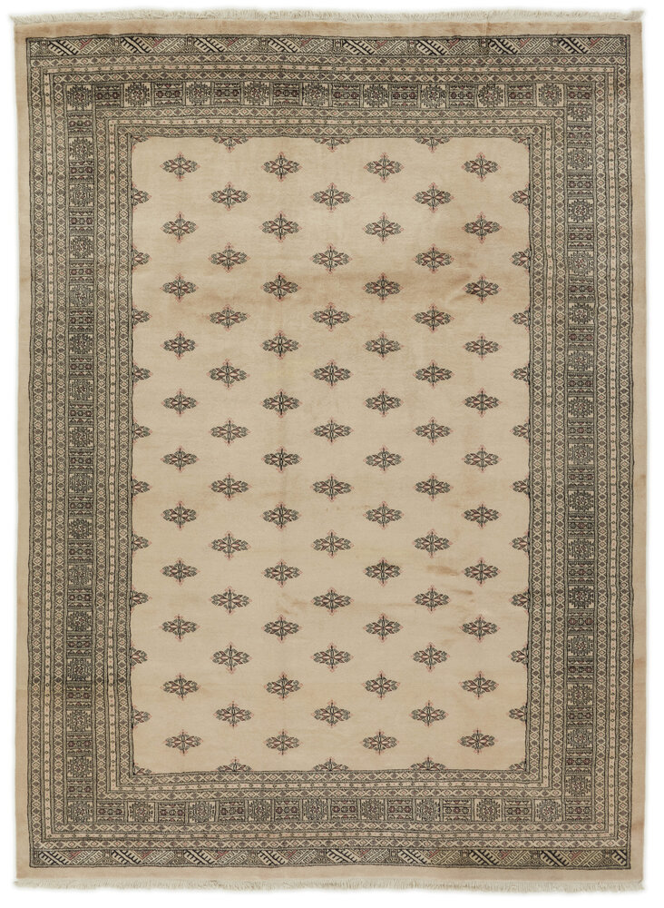 1518401-337X248.jpg