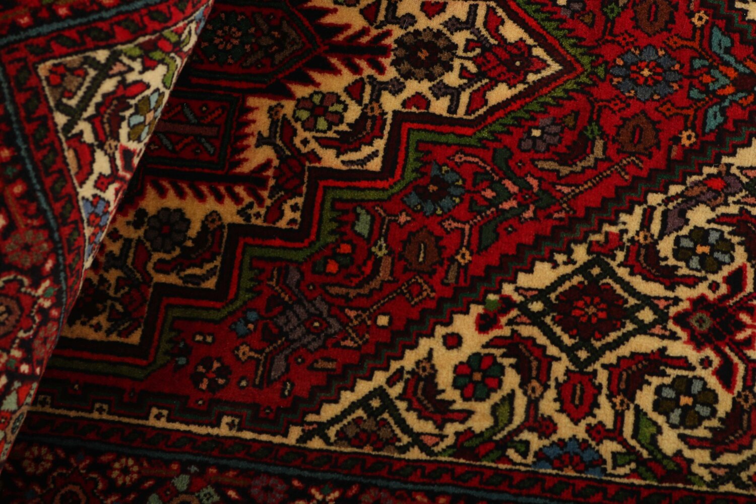 1417962-2.jpg