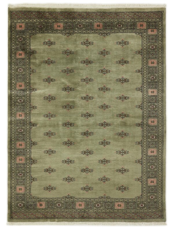 3 Ply 172x233