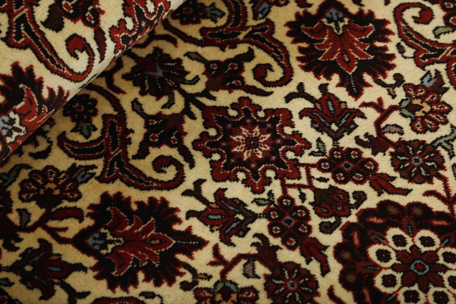 1495848-2.jpg