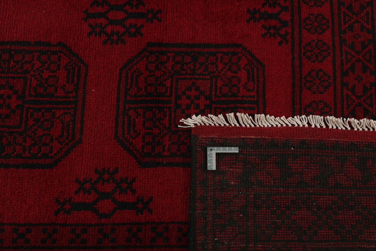 Aktscha 168x245