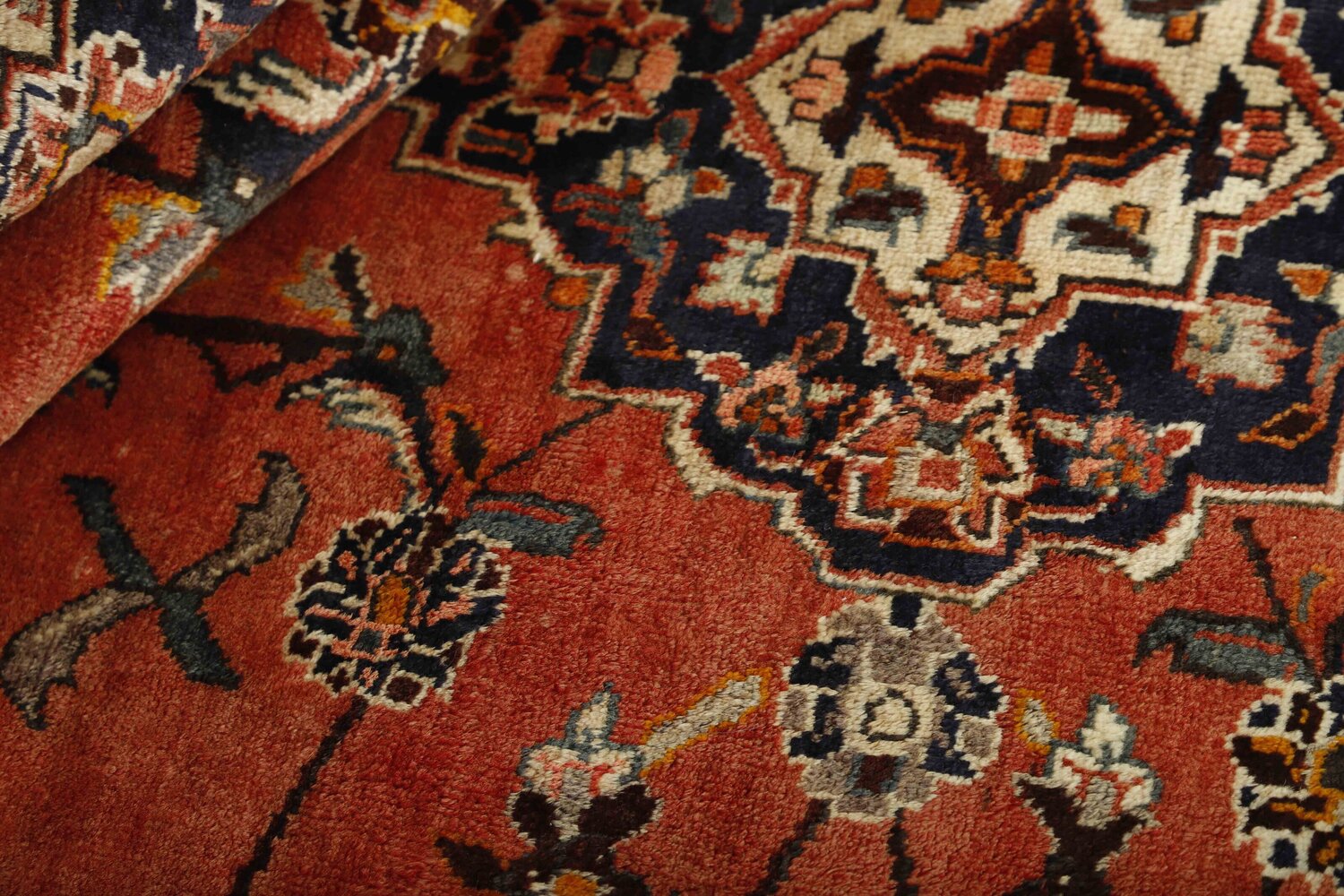 1489156-2.jpg