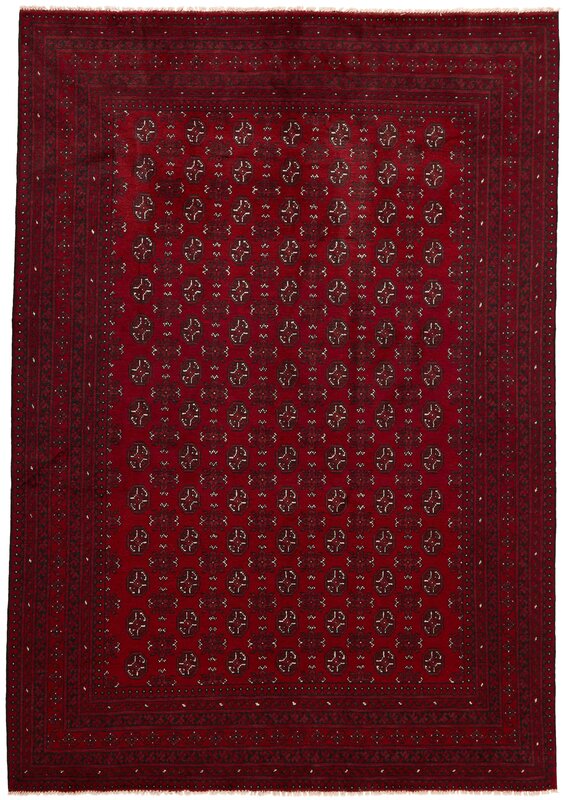 Aktscha 203x292