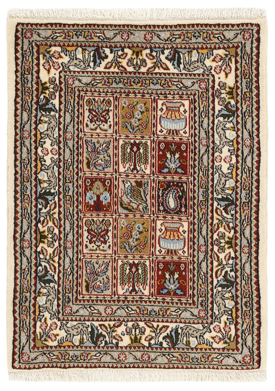 Moud Mahi 61x82