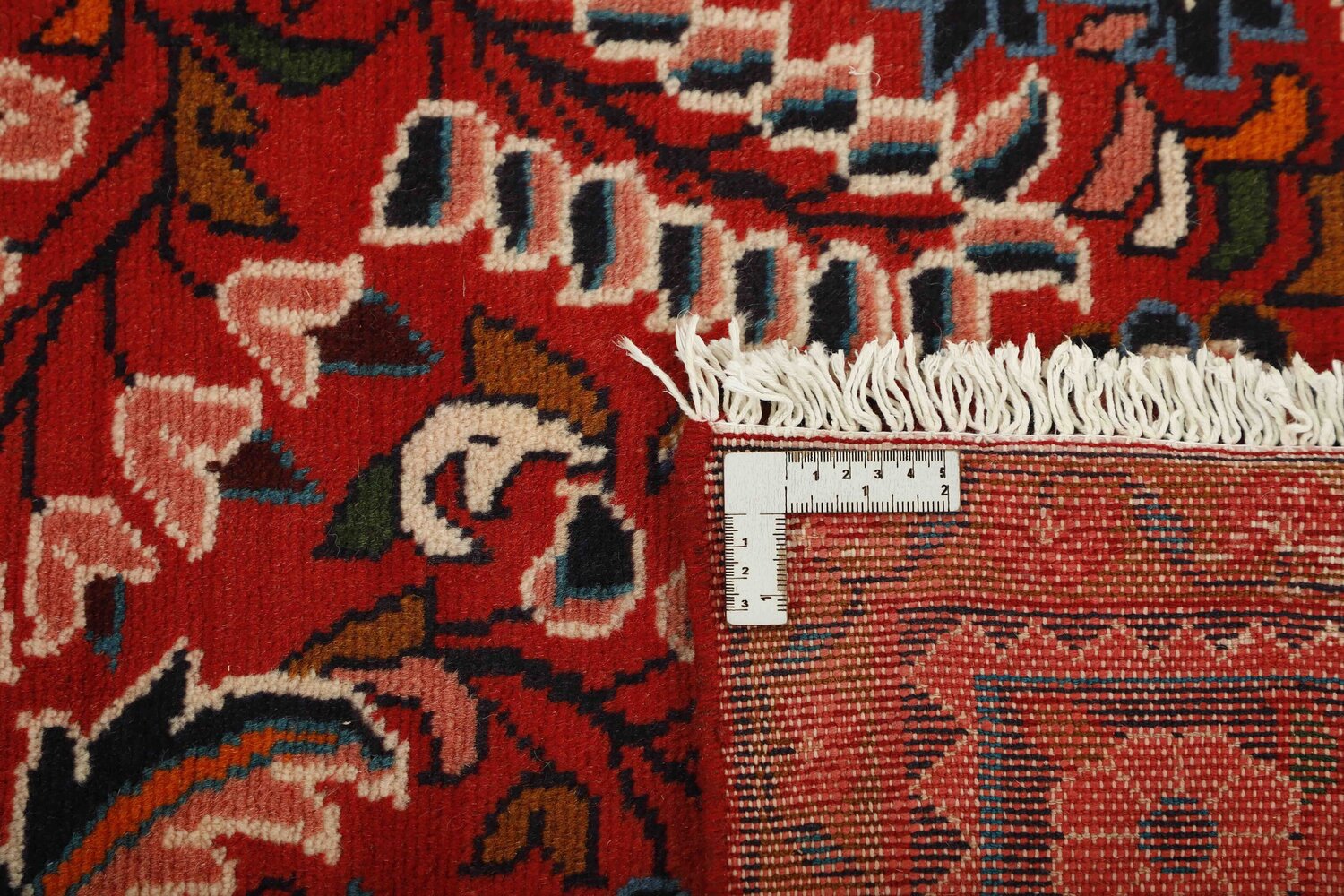 1491763-1.jpg