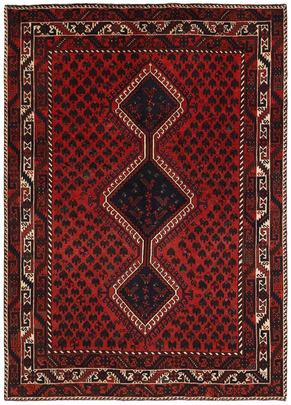 Shiraz 194x265