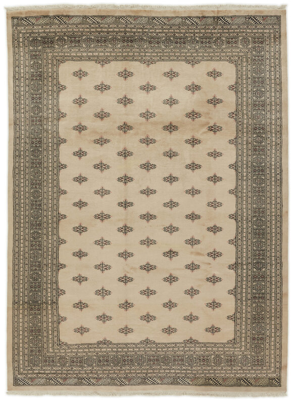 2 Ply 248x337