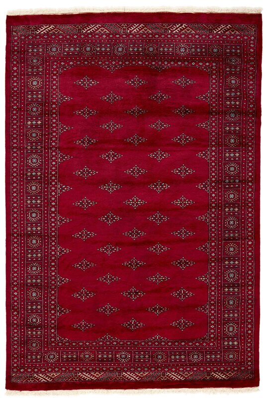 3 Ply 174x257