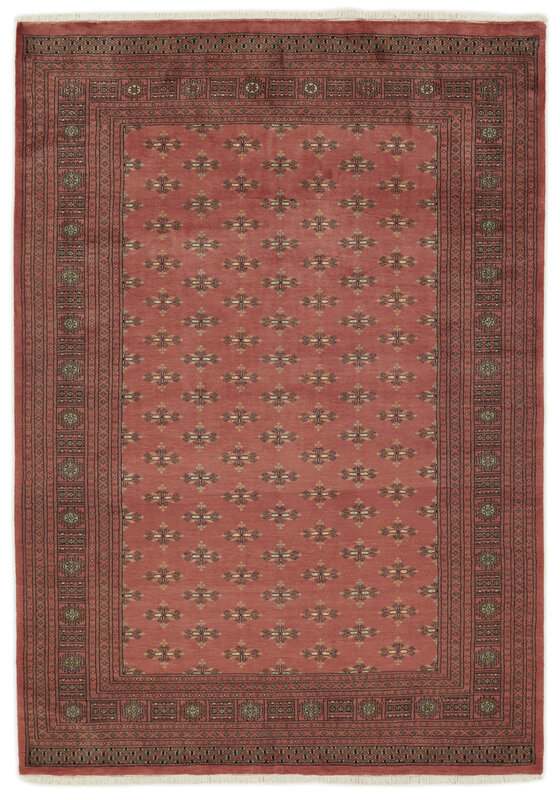 3 Ply 203x290