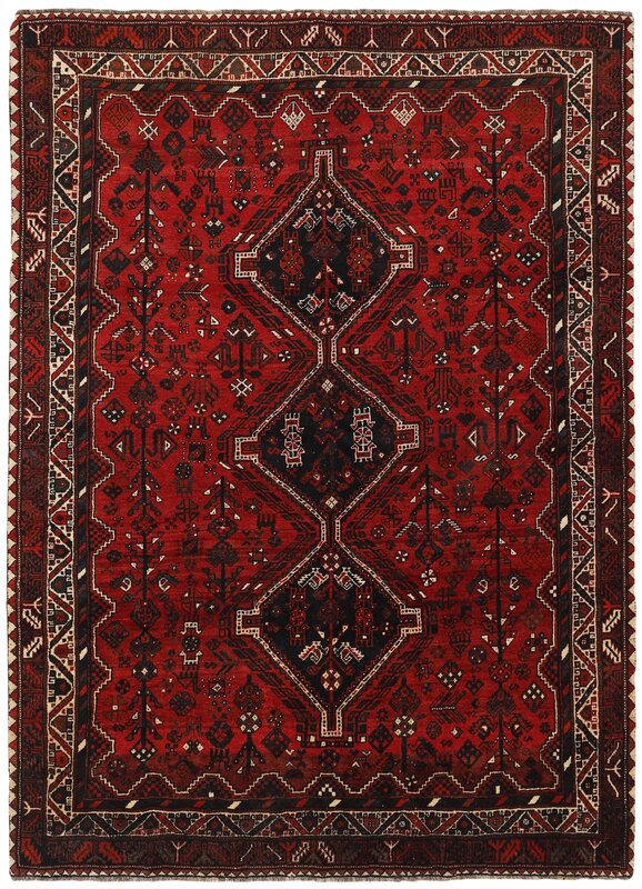 Shiraz 211x287