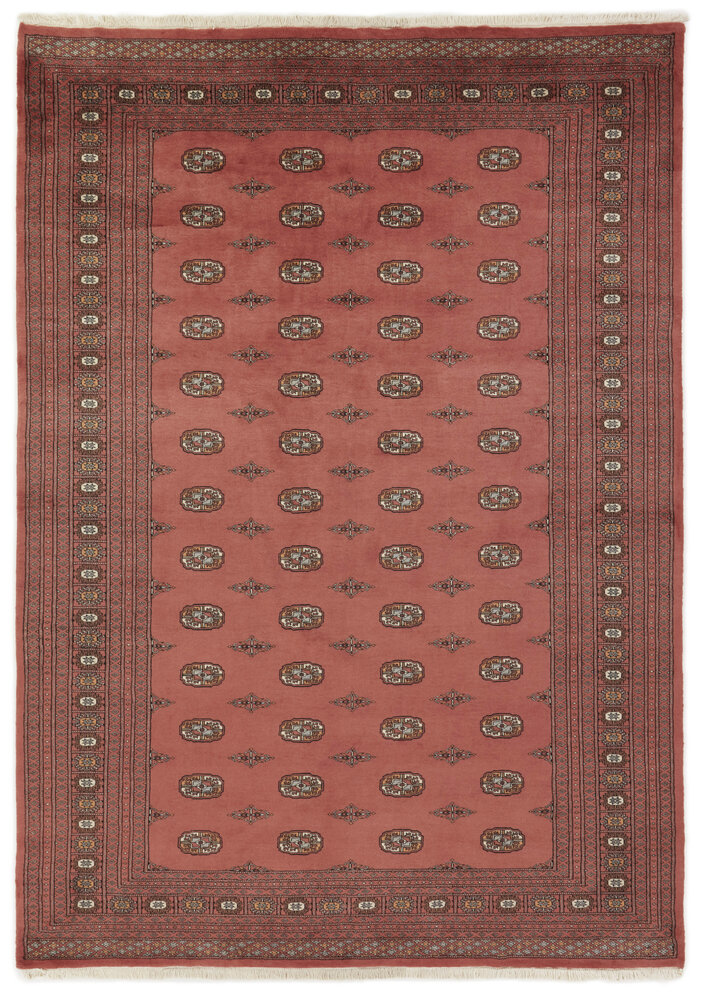 1518996-344X244.jpg