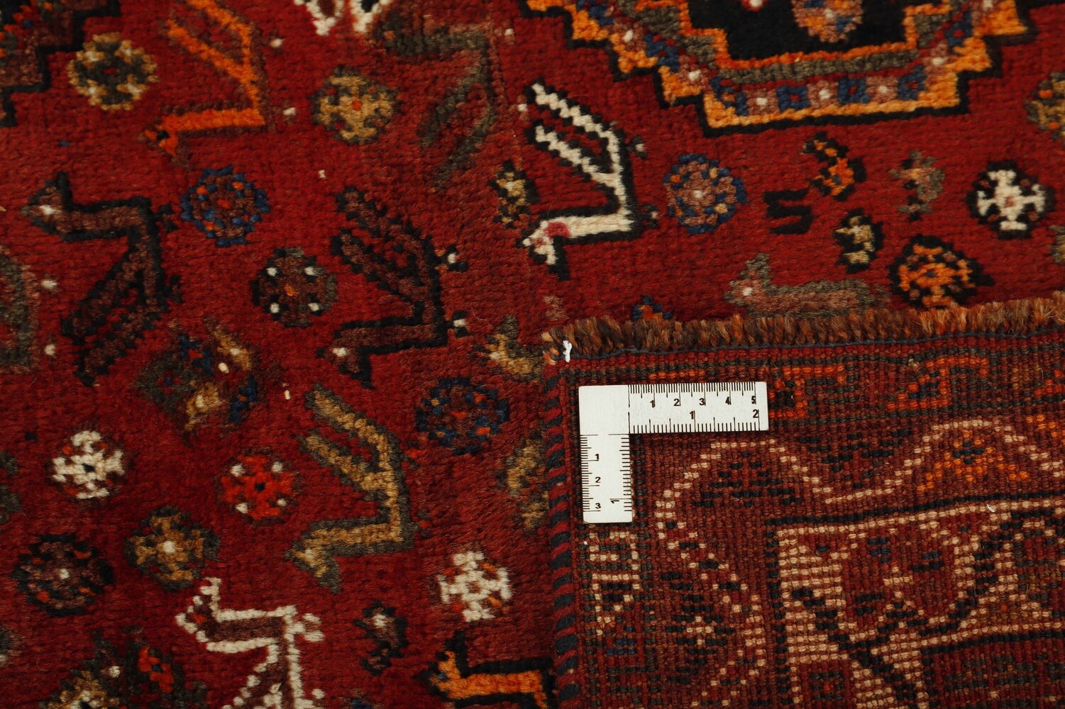 1489147-1.jpg