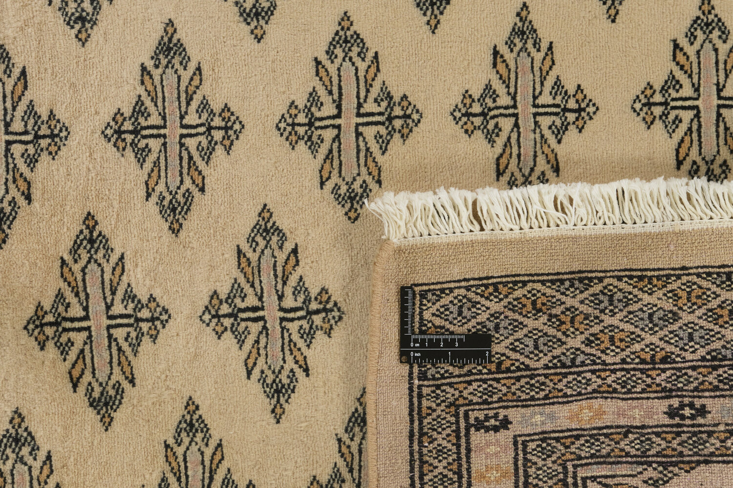 1518634-1.jpg