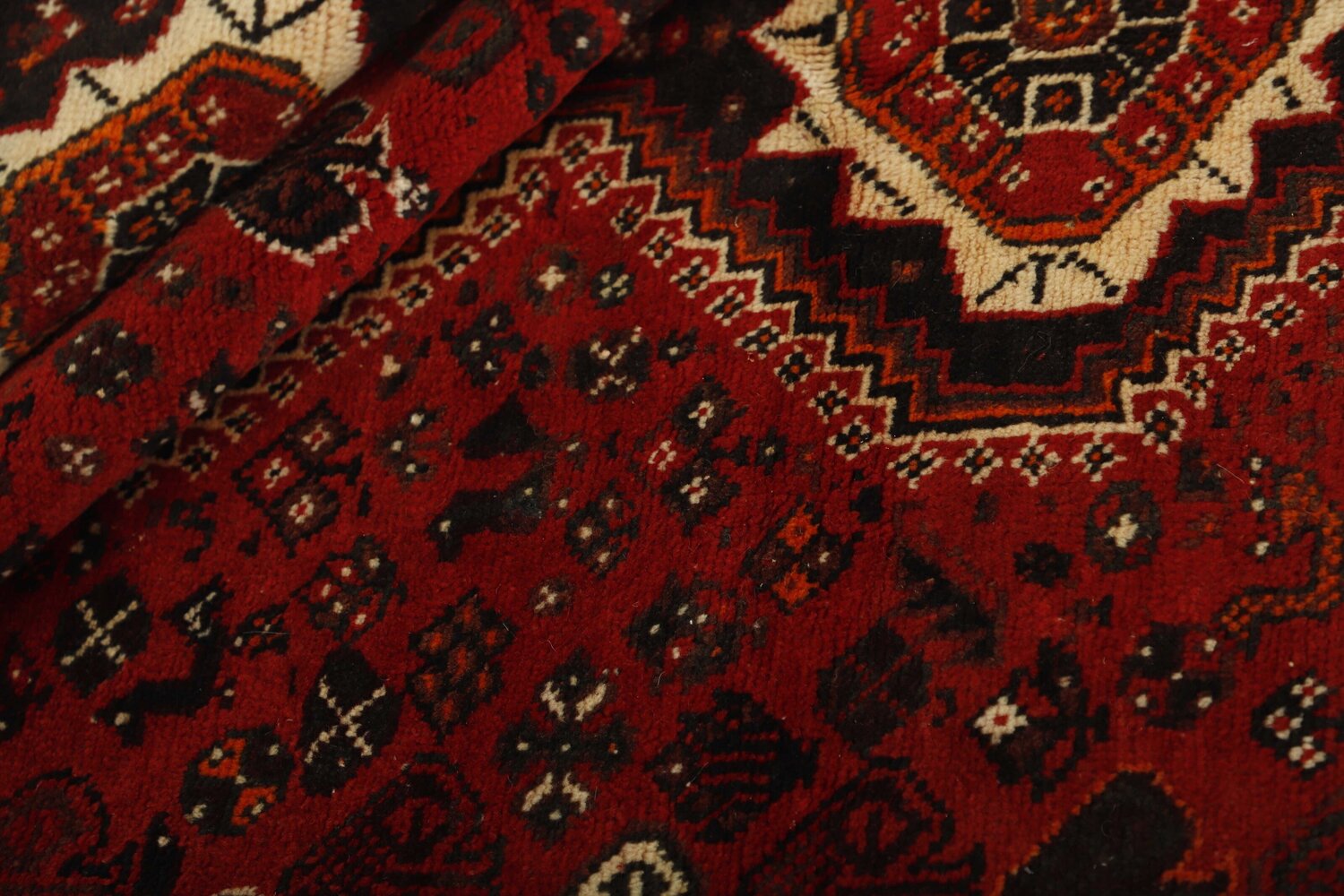 1489118-2.jpg