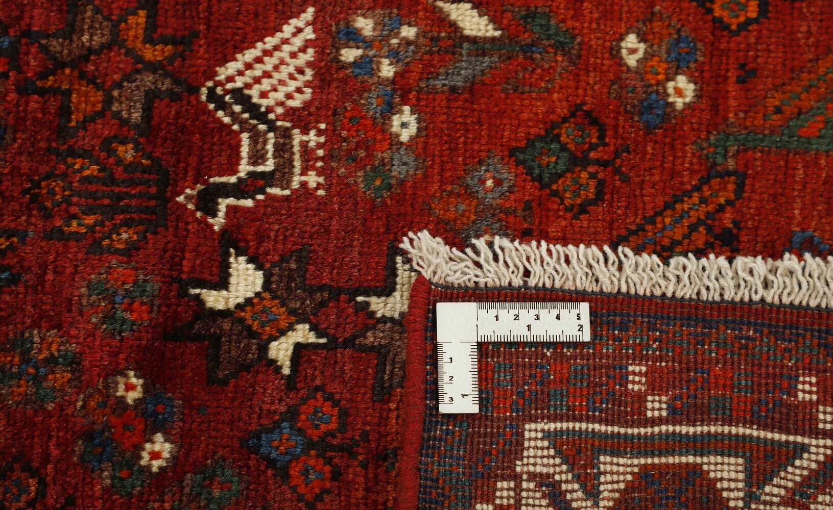 1489146-1.jpg