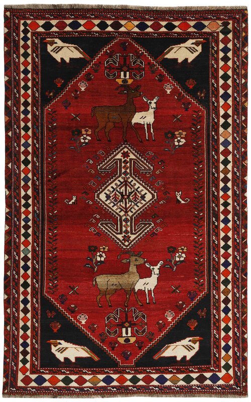 Shiraz 182x286